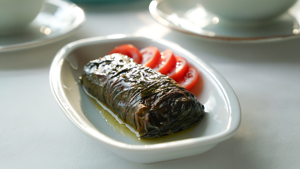 Yelken Balık Yelken Balık